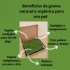 Tapete de Grama Natural para Roedores - Image 3