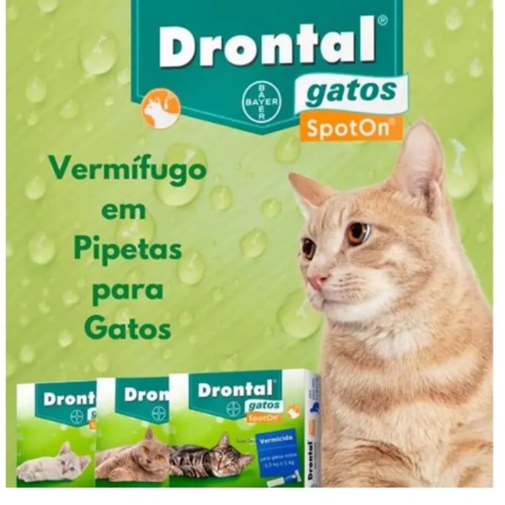 Vermífugo Oral para Gatos (Até 5kg)