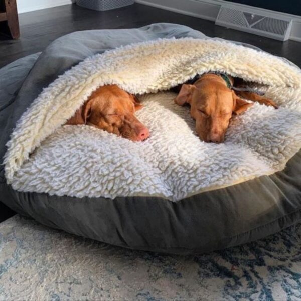 Cama Pet Super Conforto Luxo