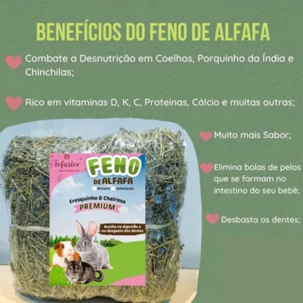 Feno de Alfafa Natural 500g
